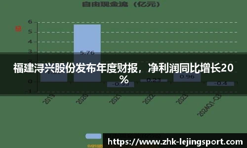 福建浔兴股份发布年度财报，净利润同比增长20%
